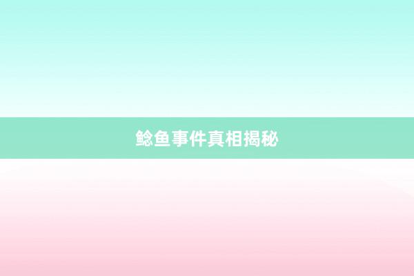 鲶鱼事件真相揭秘